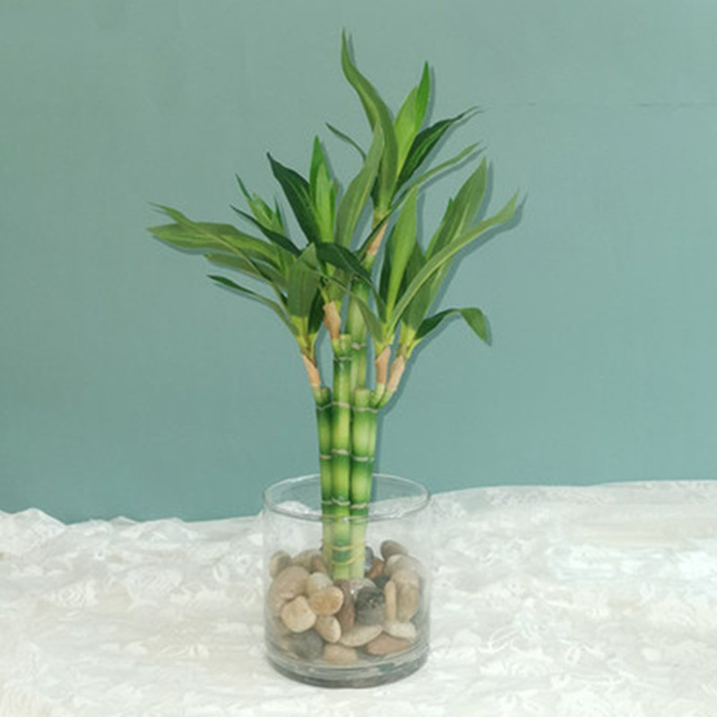 Aquarium Plant In Pot - ต้นไผ่กวนอิมเทียมขนาด 40 ซม. พร้อมกระถางสีเขียว สำหรับตกแต่งสวนกลางแจ้ง โต๊ะอาหาร