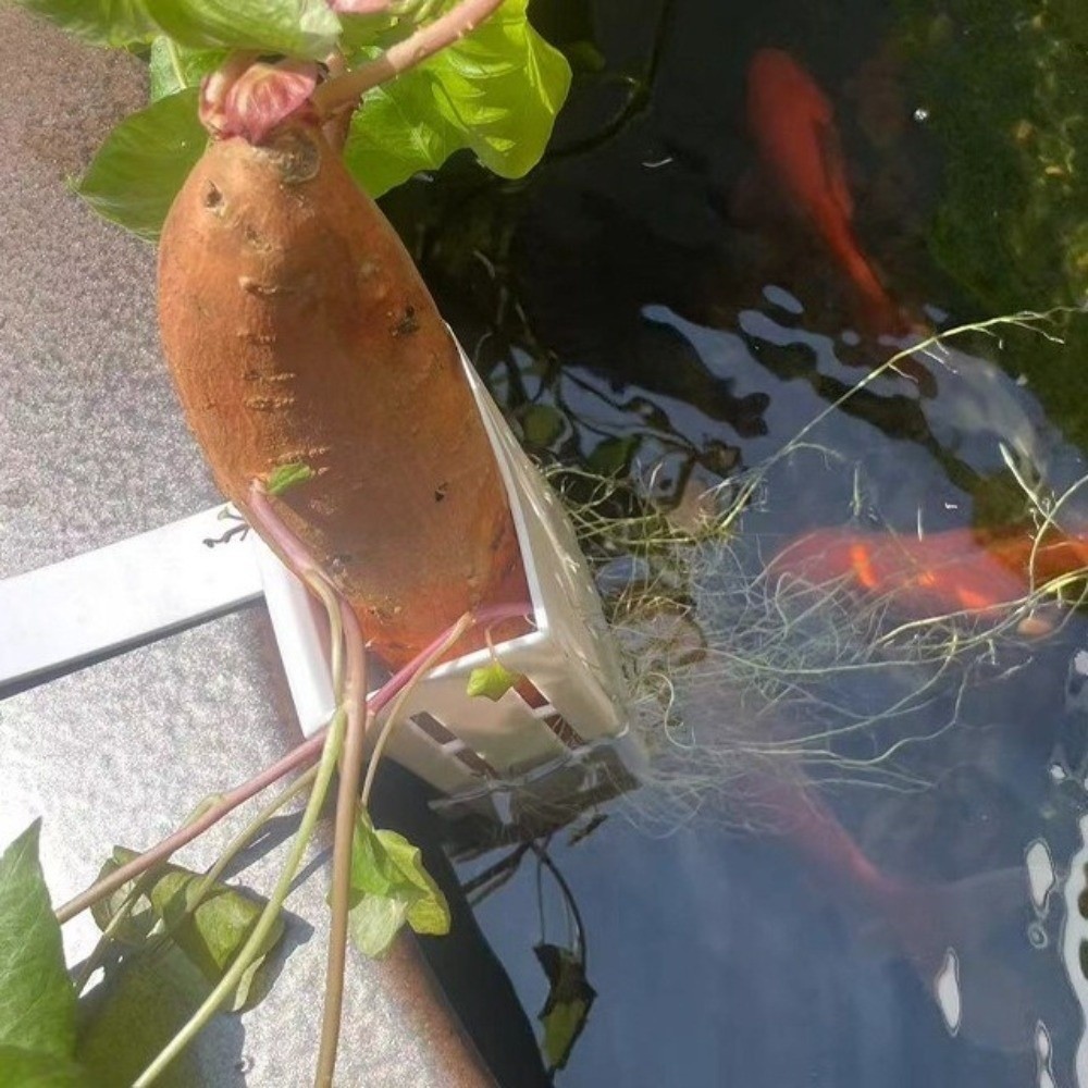 Aquarium Planted Wall - กระถางปลูกต้นไม้แบบแขวนผนังสำหรับตู้ปลา กระถางปลูกพืชไร้ดินแบบแขวน กระถางปลูกพืชแบบไฮโดรโปนิกส์ ภาชนะปลูกต้นไม้แบบรดน้ำเองได้