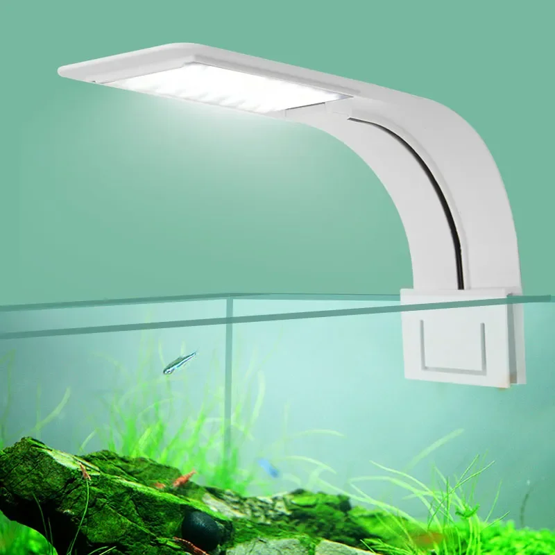 Planted Aquarium Pictures - Super Slim LED Aquarium Light แสงพืช