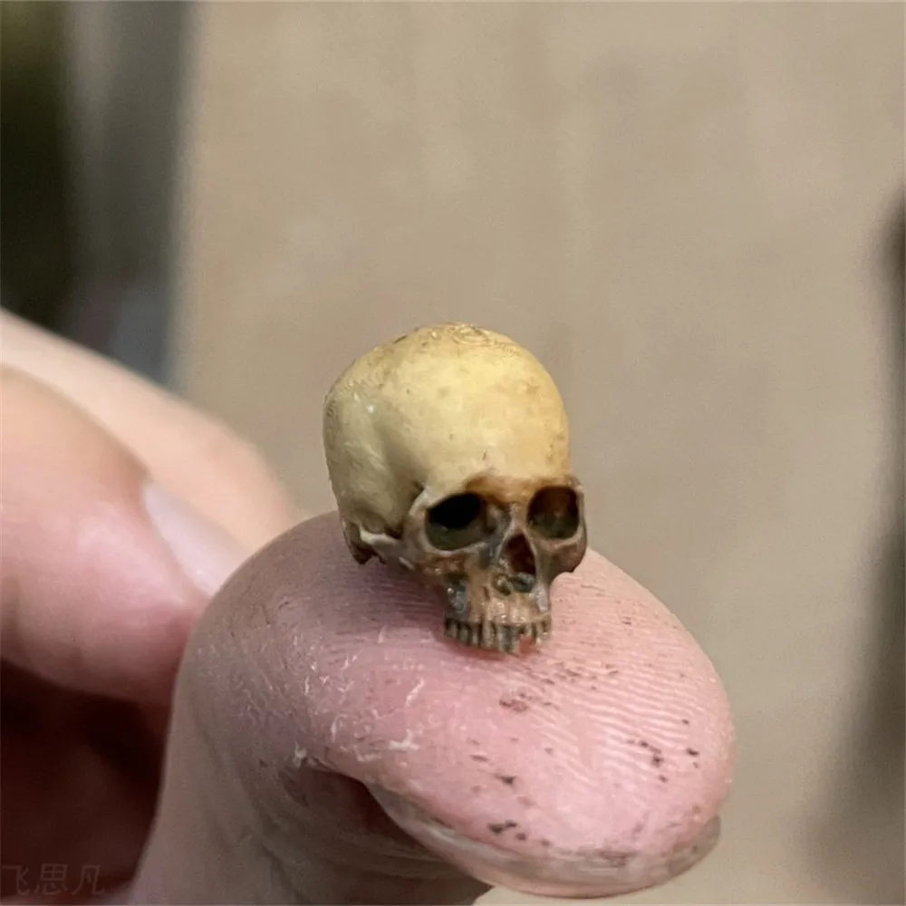 Aquarium Plant In Pot - Mini Skull คุณภาพสูง Miniature สําหรับตกแต่งบ้านฮาโลวีนตุ๊กตาพืชตกแต่งถังปลา