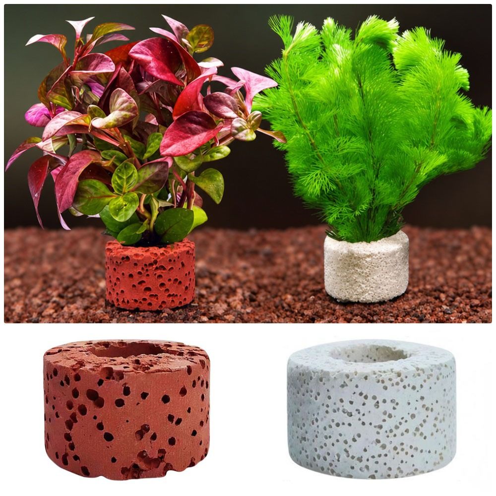 Planted Aquarium Pictures - วงแหวนยึดต้นไม้น้ำแบบถ่วงน้ำหนัก 10 ชิ้น วงแหวนยึดพื้นดินสำหรับต้นไม้น้ำ ตามภาพที่แสดง อุปกรณ์ยึดต้นไม้ในตู้ปลา