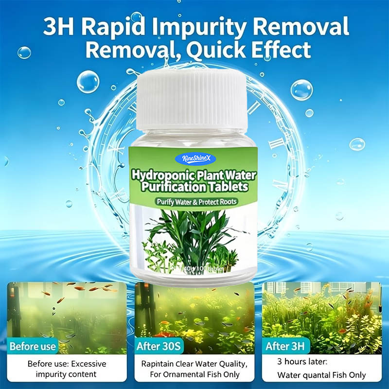 แท็บเล็ตกรองน้ำแบบไฮโดรโปนิกส์ - Aquarium Plant In Pot บทวิจารณ์และราคา