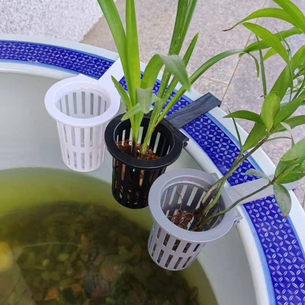 ตะกร้าปลูกพืชน้ำติดผนัง กระถาง - Aquarium Planted Wall บทวิจารณ์และราคา