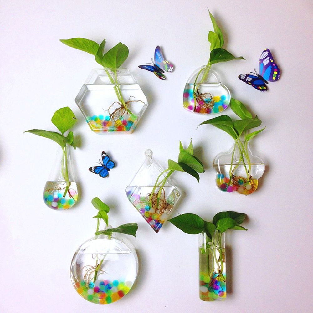 กรวยรูปร่างแขวนผนังแจกันพืช Hy - Aquarium Planted Wall บทวิจารณ์และราคา
