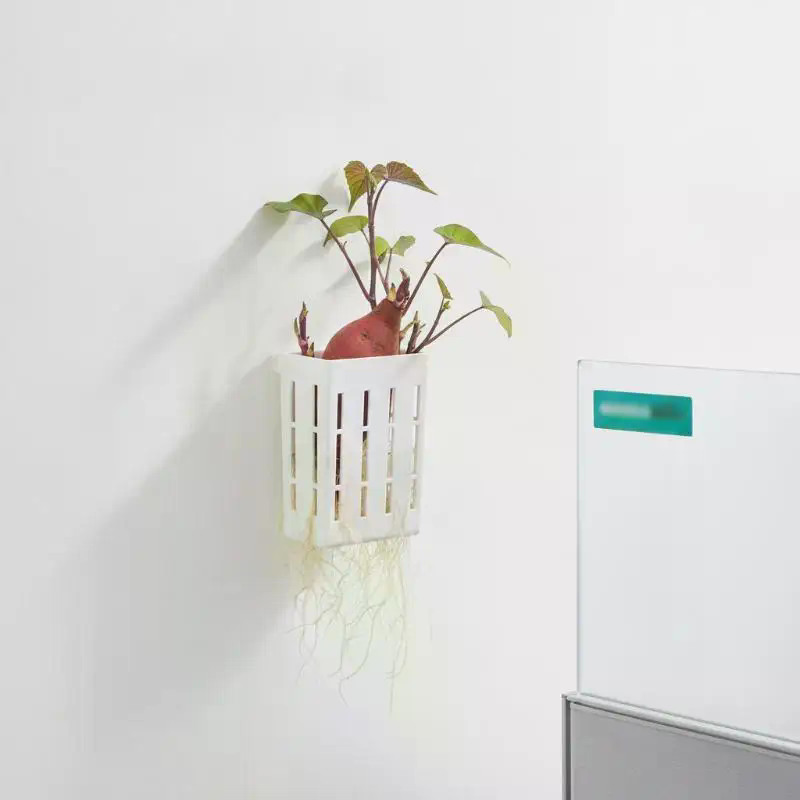 ตะกร้าปลูกพืชแบบไฮโดรโพนิก 1 ช - Aquarium Plant In Pot บทวิจารณ์และราคา