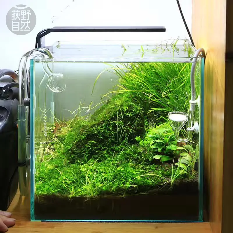 Chihiros C Series ADA สไตล์พืช - Planted Aquarium Products บทวิจารณ์และราคา