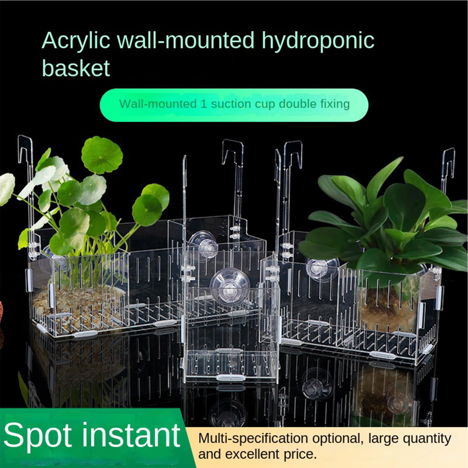 ที่แขวนต้นไม้ในตู้ปลาอะคริลิก  - Aquarium Plant Vine บทวิจารณ์และราคา