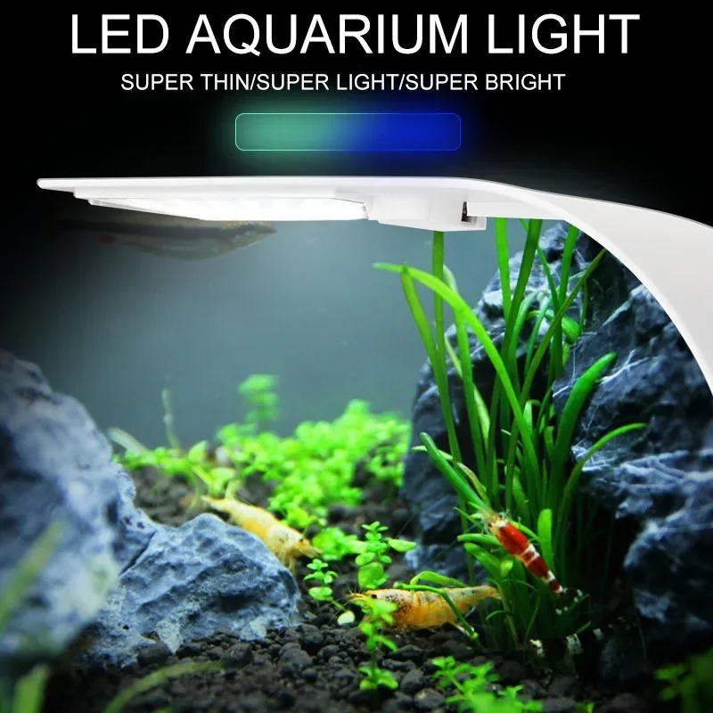 Super Slim LED Aquarium Light  - Planted Aquarium Pictures บทวิจารณ์และราคา