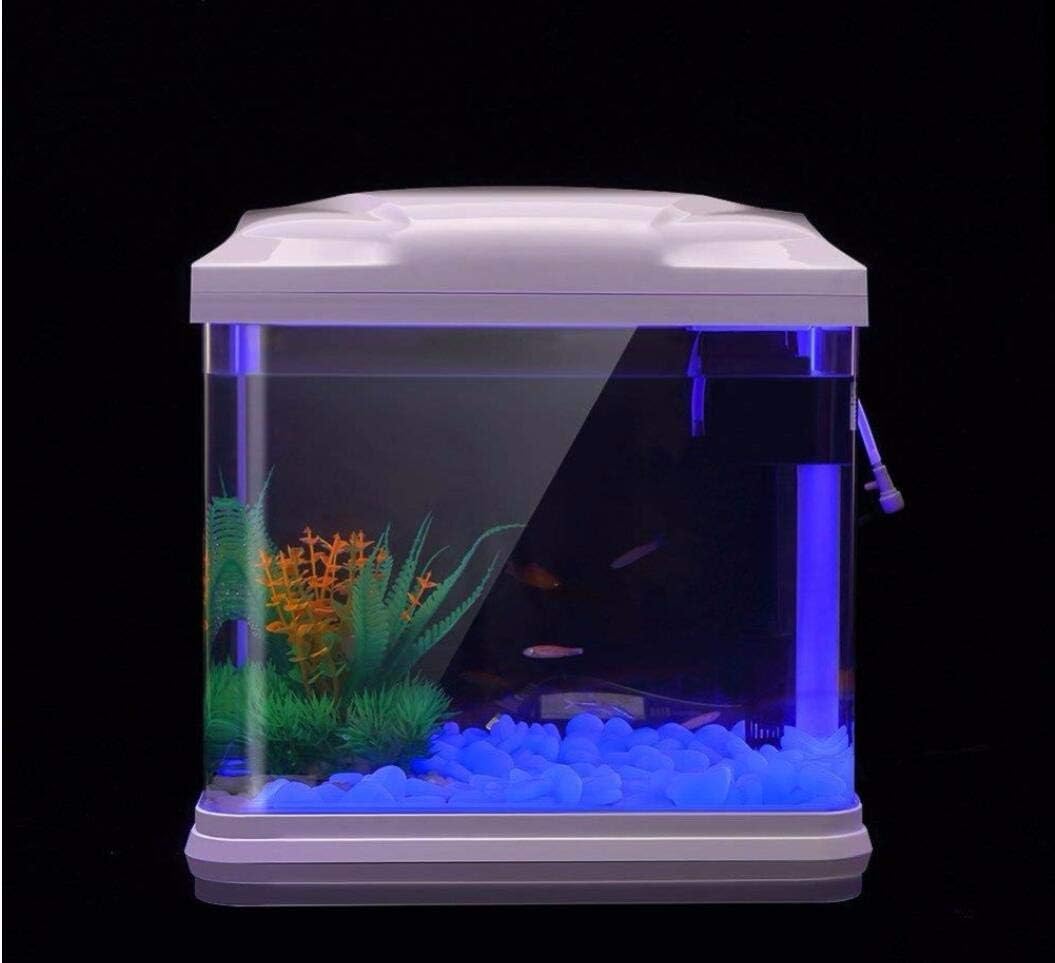 ถังปลา Rocks Glow Blue Pebbles - Aquarium Plant In Pot บทวิจารณ์และราคา