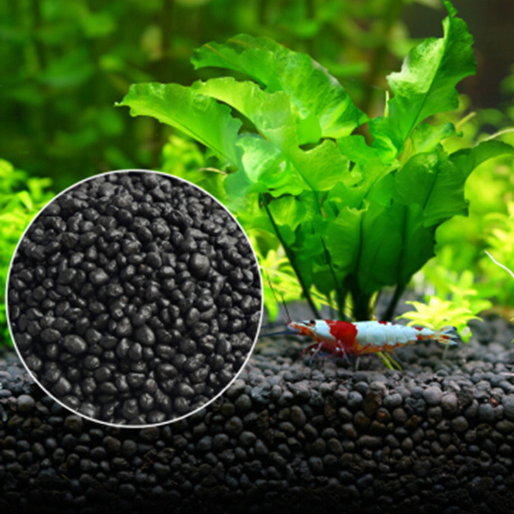 พิพิธภัณฑ์สัตว์น้ำเมล็ดพืชดิน  - Aquarium Plant In Pot บทวิจารณ์และราคา