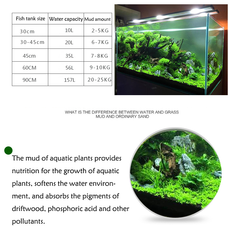 พิพิธภัณฑ์สัตว์น้ำเมล็ดพืชดิน  - Aquarium Plant In Pot บทวิจารณ์และราคา
