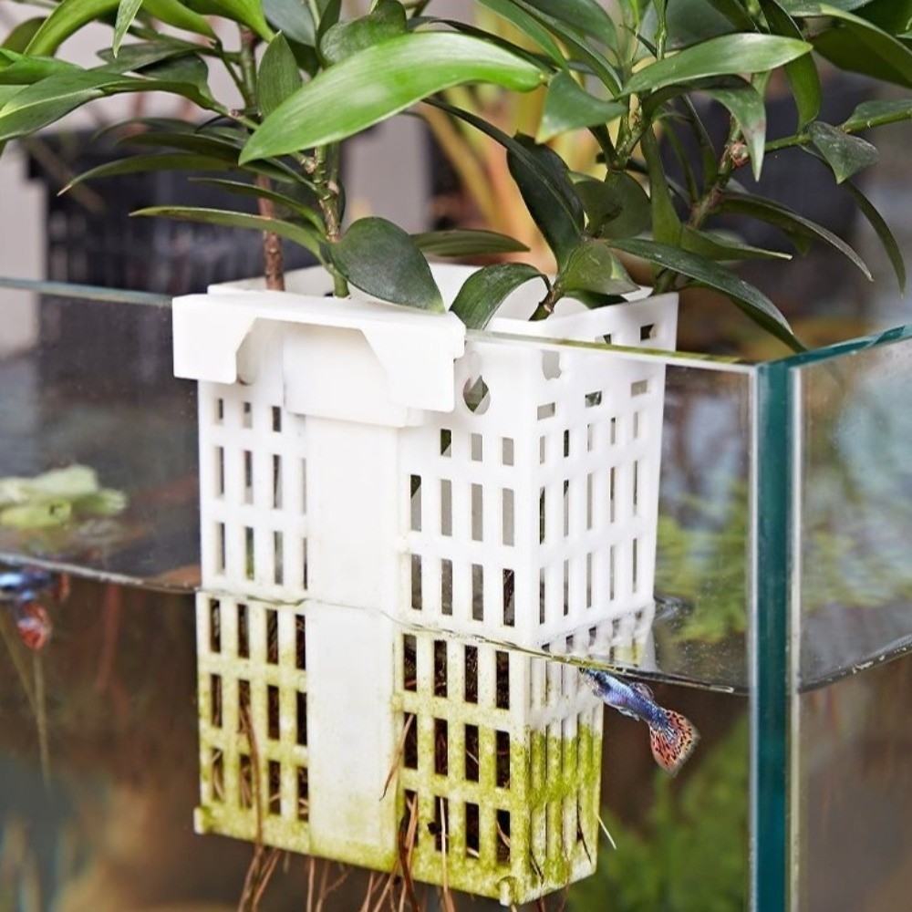 ที่แขวนต้นไม้น้ำแบบติดผนัง ที่ - Aquarium Planted Wall บทวิจารณ์และราคา
